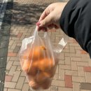 수루배청과 네이버블로그