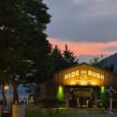 하이드온부쉬 이미지