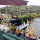 구매항펜션 이미지