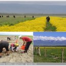 김영석 농장 이미지