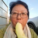 은민농장 네이버블로그