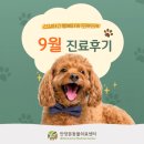 평촌동물병원 | 안양본동물의료센터 9월 진료후기, 평촌 24시동물병원