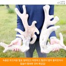 박종욱농장 네이버블로그