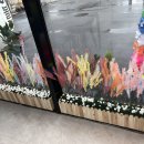 아이캐슬 안경원 내수점 이미지