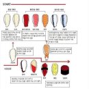 스시 먹는 오징어 이미지