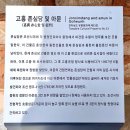 53호 문화공원 네이버블로그