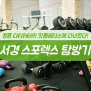 에스케이스포렉스 이미지