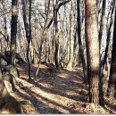 호석농장 이미지