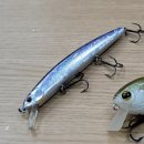 6월 배스낚시 조과 공유 / 배스 50cm 대물부터 가물치까지/ 전라도에서 제대로 실전 즐기기
