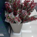 다이소 대구옥포점 이미지