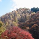 캠프어게인 이미지