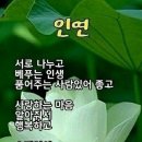 [출석부] 24년 8월 1 일 목요일 이미지