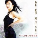 Wildflower (2003) Album... Keiko Matsui 이미지