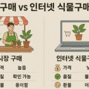 시장 구매 vs 인터넷 식물구매 장단점- 가격, 품질, 환불