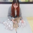 마리앤쥬(ZOO) 이미지