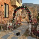 통영시립산양도서관 | [통영카페]산양읍 유럽풍 카페 언제라도 봄 / 현지인 추천 달아공원 박경리기념관 근처 햇살맛집