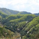 양평엘한방병원 이미지