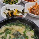 올갱이나라 이미지