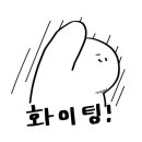 순천 엘리트복싱 이미지