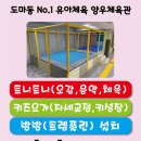 새내동체육관 Daum카페