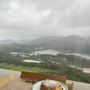 소노펠리체 델피노 이미지