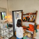 도순남로 | 제주도 서귀포시 하루선물사진관 아이랑 가족사진 기념촬영 후기