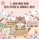 주정차CCTV-이마트진입로 | [2026 봄꽃지도] 3월 꽃축제 4곳 총정리 개화현황 주차비 0원 + 웨딩촬영 체크리스트