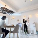 바우 필라앤피티 이미지