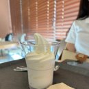 폴바셋연세와