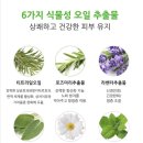 샴푸스토리 이미지