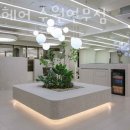 우만초등학교 | 수원 연무동 미용실 리안헤어 수원연무점 업체 정보 후기
