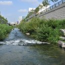 맛고을명품한우 이미지