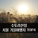 여행수토리 이미지