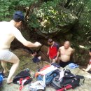 최근호 Daum카페