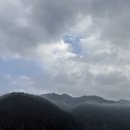 세느파크 이미지