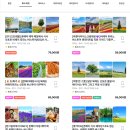 간성농장 | 비에이 삿포로 버스투어 8월 9월 여름 북해도 여행 전 알고 가기