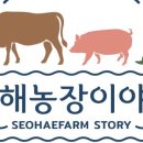 놀러와농장 이미지