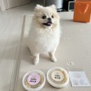 행복하댕 | 광주 애견 수제사료 프리미엄 수제화식 전문점 하남3지구 행복하댕