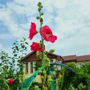 모항1리 복지회관 이미지