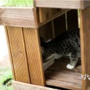 ㈜펫트코리아 이미지