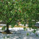 열매농장 이미지