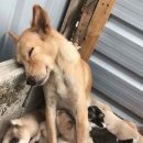 오늘은 힐링 Daum카페