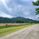 작원관지길 이미지