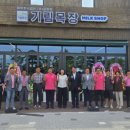 도도리 이미지