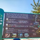 종주농장 | 영월 태화산 눈꽃산행(흥교분교-태화산정상-고씨동굴) 8.9km/5시간