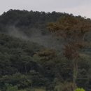 구름을 머금은 천태산 / 한길타조농장 이미지
