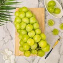 샤인2 | 달콤함 끝판왕 리빌리지 고당도 샤인머스켓 2kg 후기