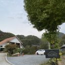 [단양 펜션] 가을 여행지 끝판왕 단양 내돈내산 펜션 후기! “한드미 모루”