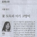 고양이라디오 Daum카페