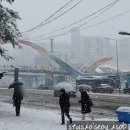 노원구민의전당(동일로 1229) 앞 버스정류장 | 어린이공연, 연말 알라딘과 자스민공주 노원구민의전당 관람기